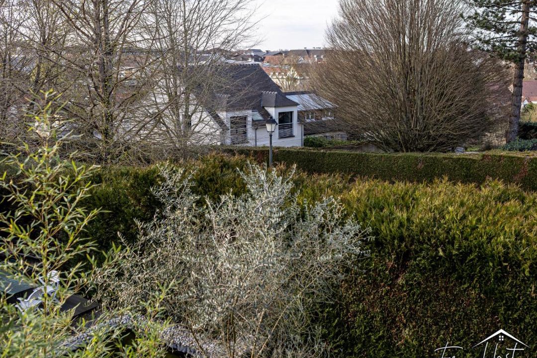 Photo of Others in Magny-le-Hongre