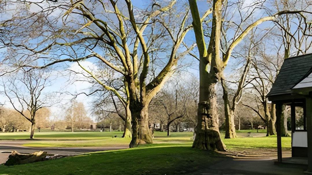 Photo of Others in Nine Elms