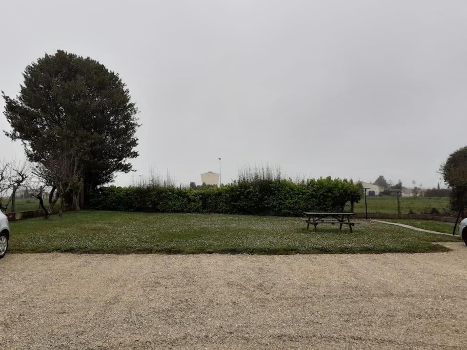 Photo of Others in Saintes