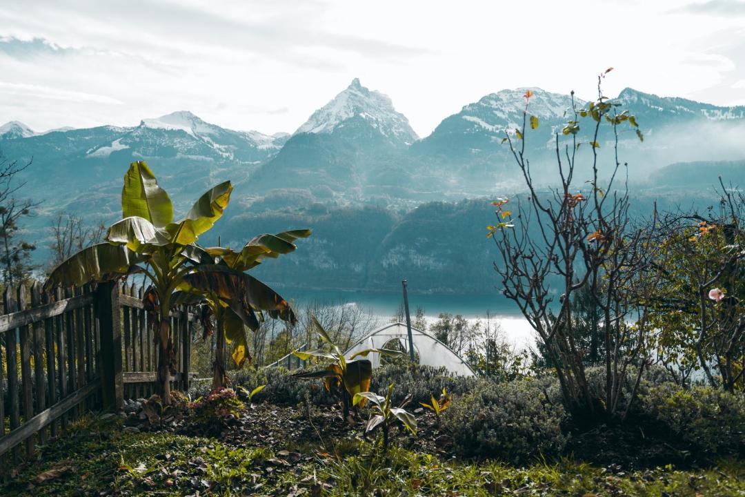 Photo of Others in Amden