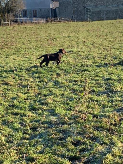 Photo of Others in Le Baizil