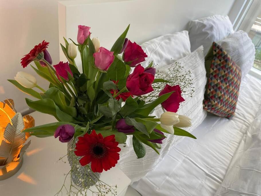 Photo of Others in Chatham