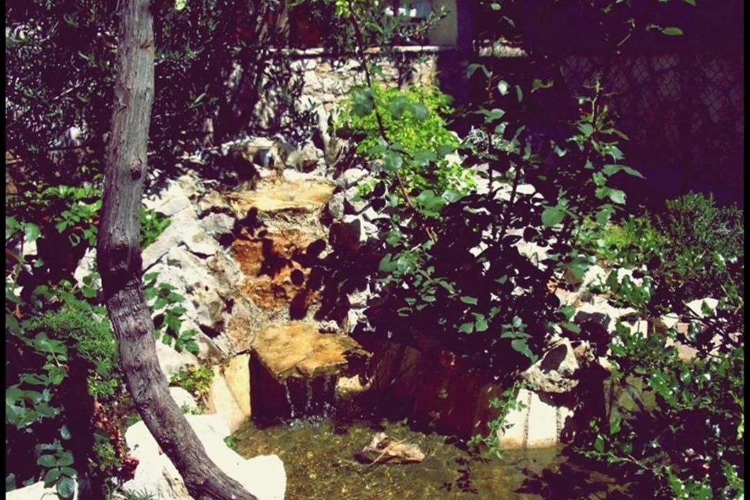 Photo of Others in Murter