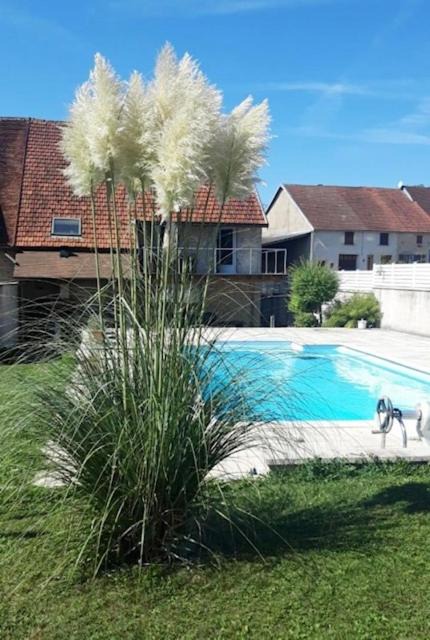 Photo of Others in Dompierre-sur-Mont