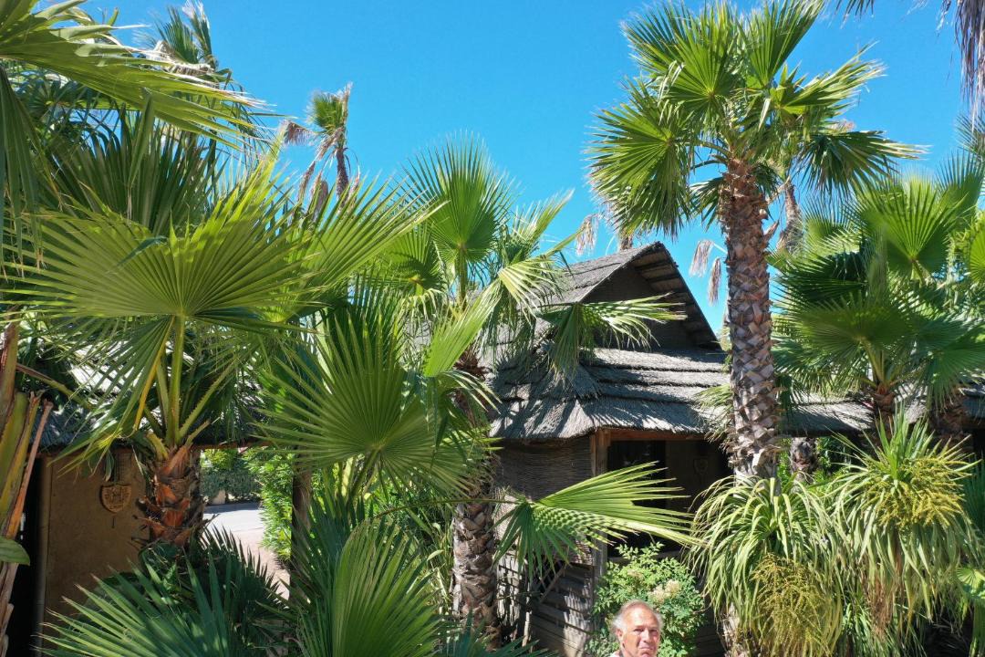 Photo of Others in Ramatuelle