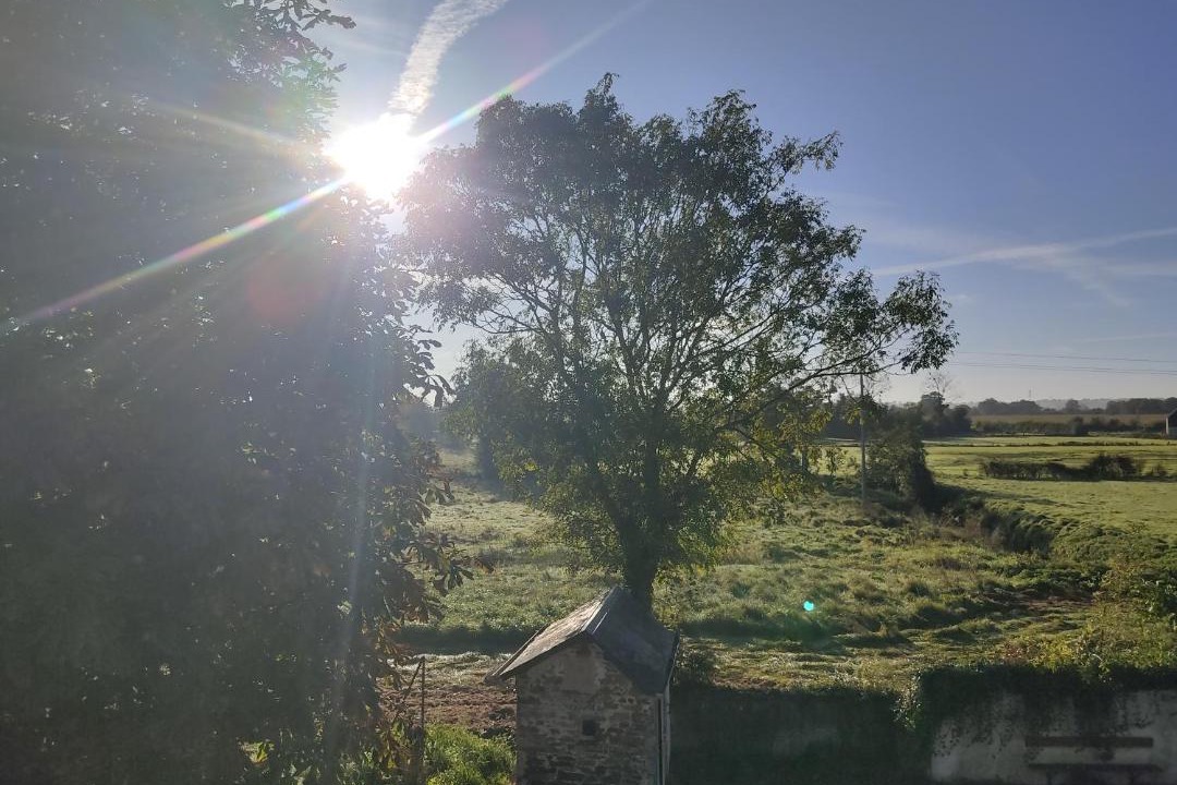 Photo of Others in Le Hommet-d'Arthenay