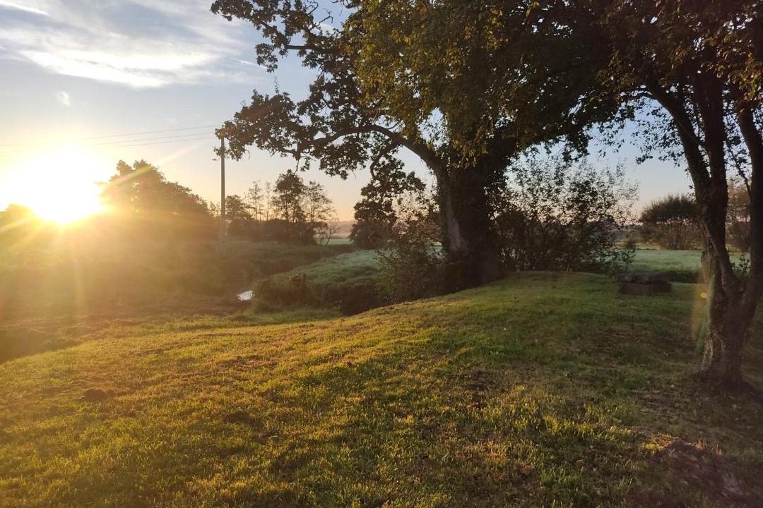 Photo of Others in Le Hommet-d'Arthenay