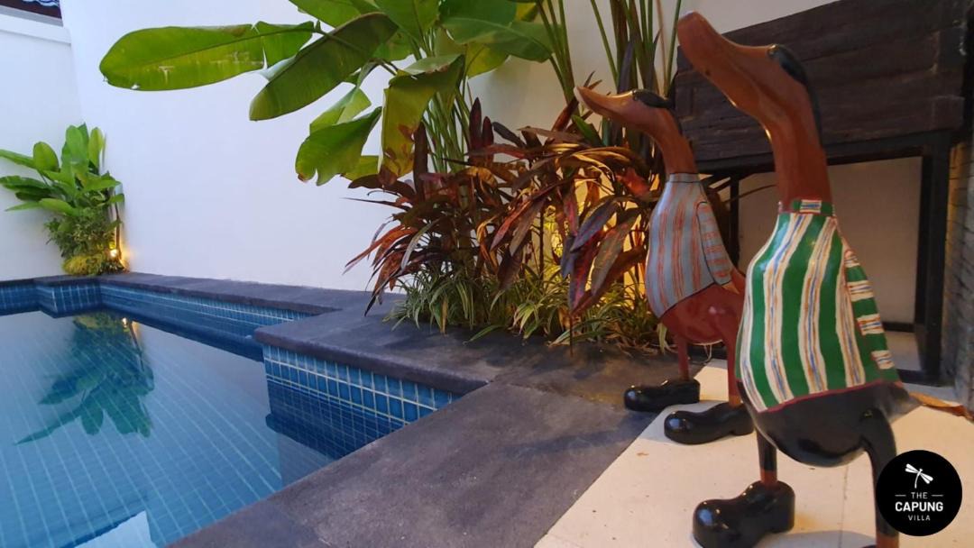 Photo of Others in Renon