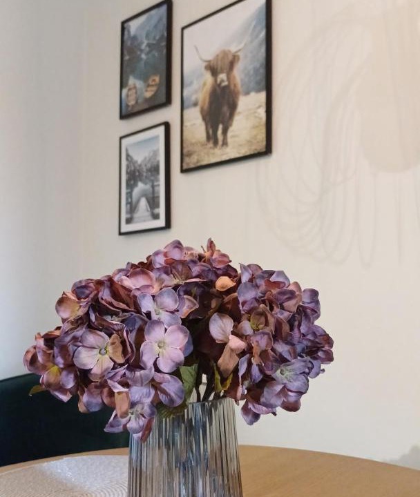 Photo of Others in Aalborg