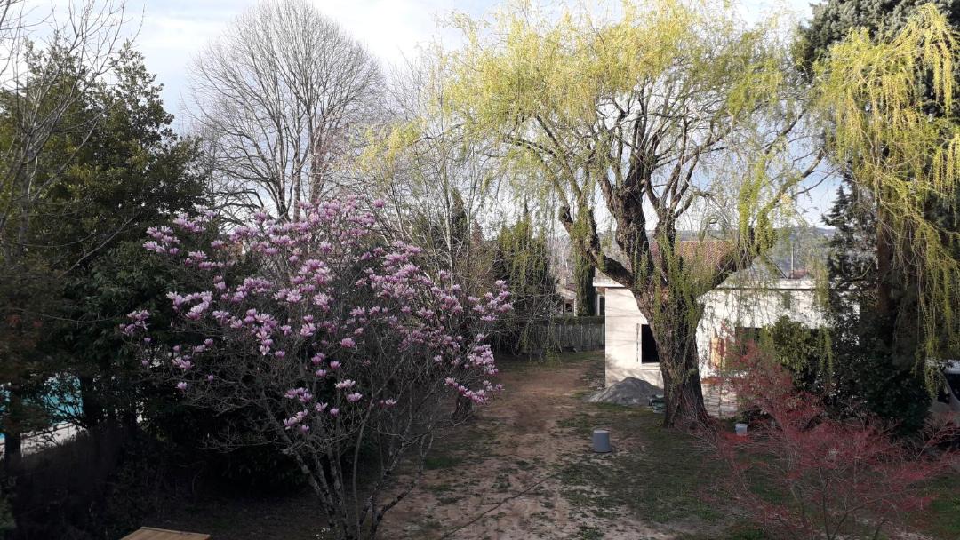 Photo of Others in Mazamet