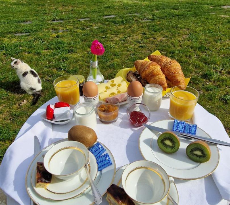 Photo of Others in La Membrolle-sur-Choisille