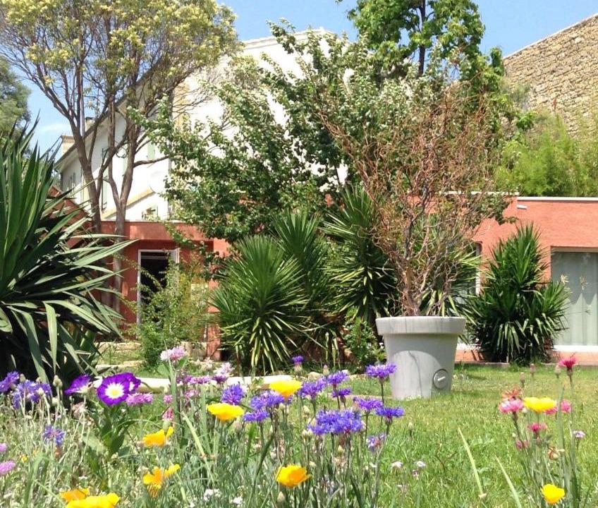 Photo of Others in Gallargues-le-Montueux