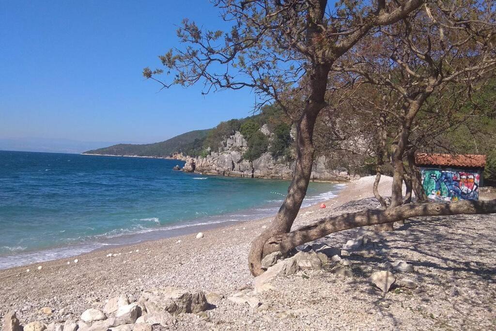Photo of Others in Porozina
