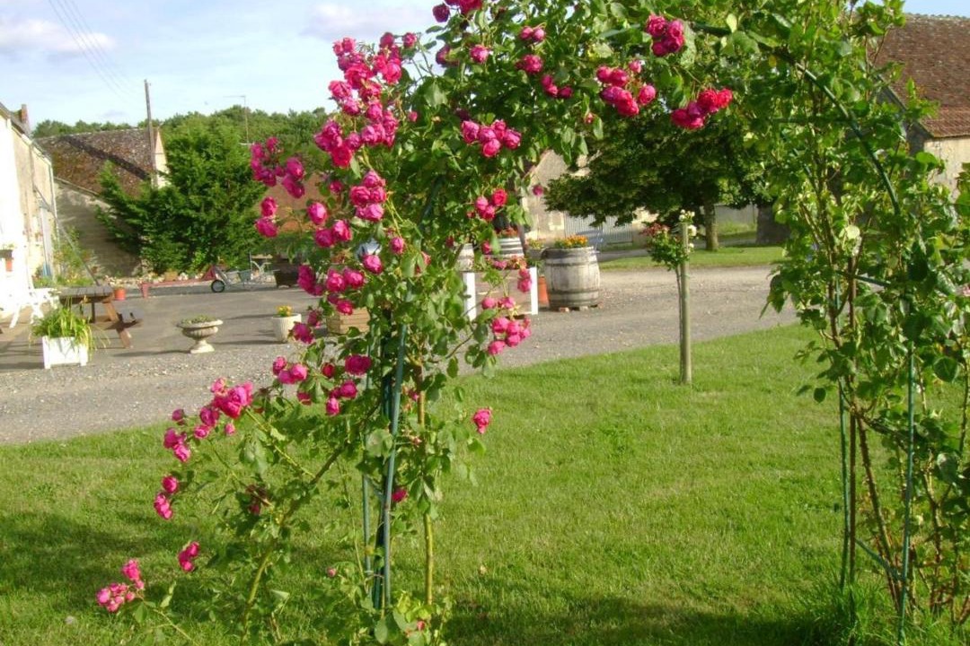 Photo of Others in Chedigny