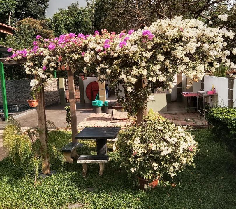 Photo of Others in Port Dickson