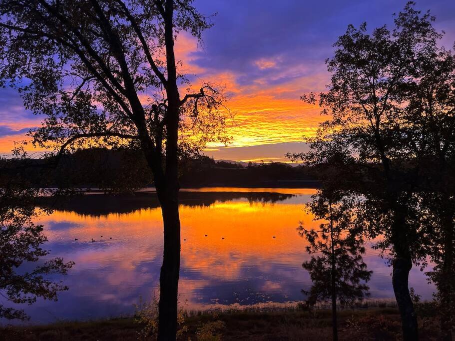 Photo of Others in Shady Cove