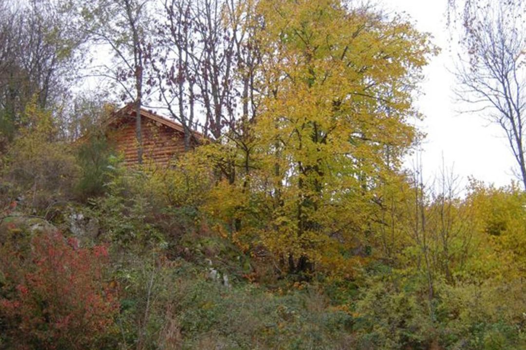 Photo of Others in Saint-Martin-la-Sauvete
