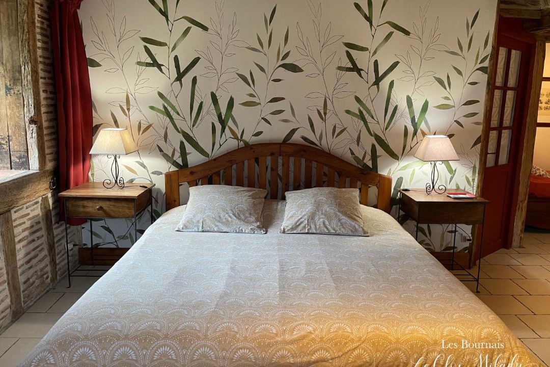 Photo of Bedroom in Theneuil