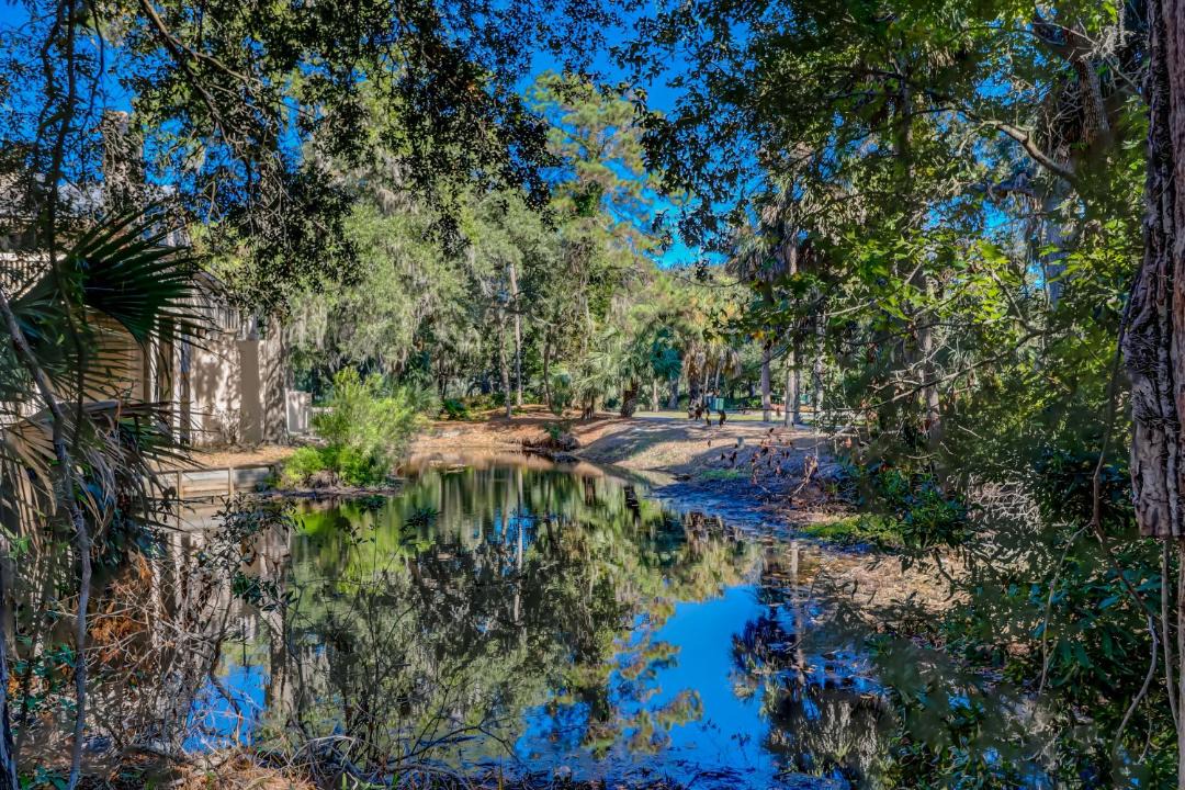 Photo of Others in Shipyard Plantation
