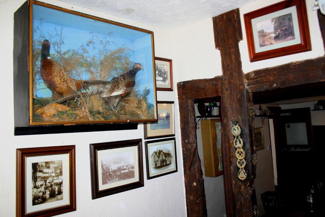 Photo of Others in Dunmow