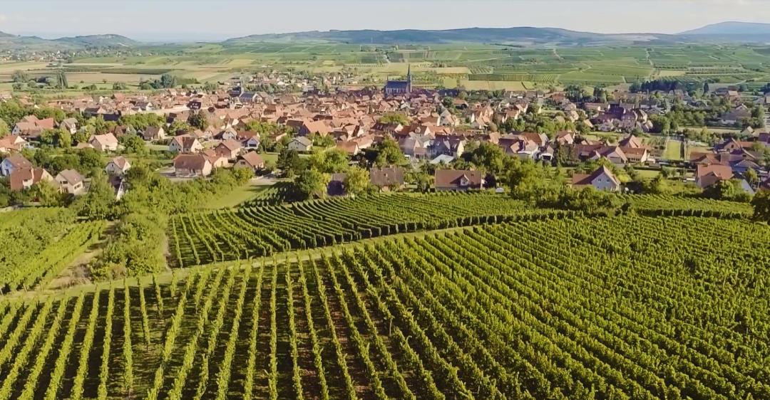 Photo of Others in Westhoffen