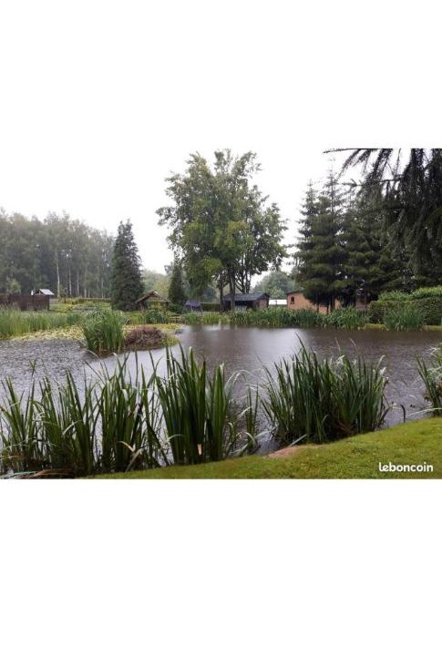 Photo of Others in Hargnies