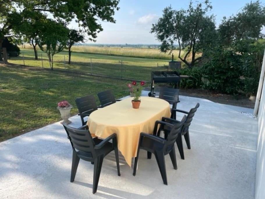 Photo of Others in Cadillac-en-Fronsadais