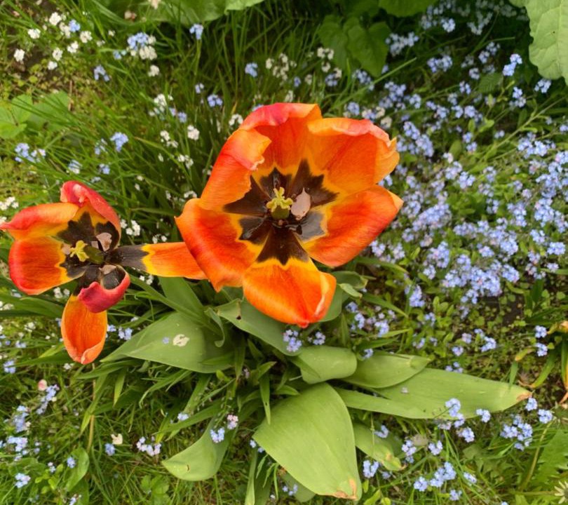 Photo of Others in Ebeltoft