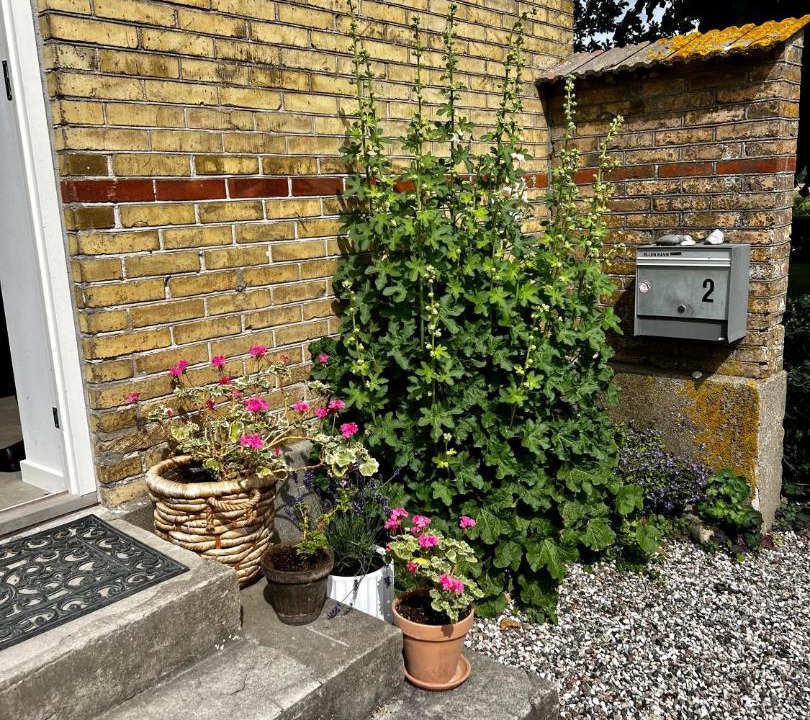 Photo of Others in Ebeltoft