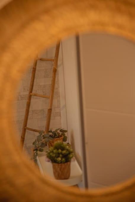 Photo of Others in Saubrigues