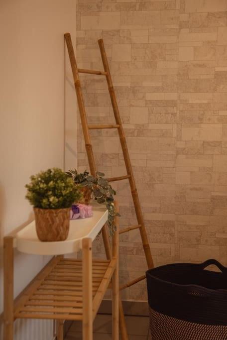 Photo of Others in Saubrigues