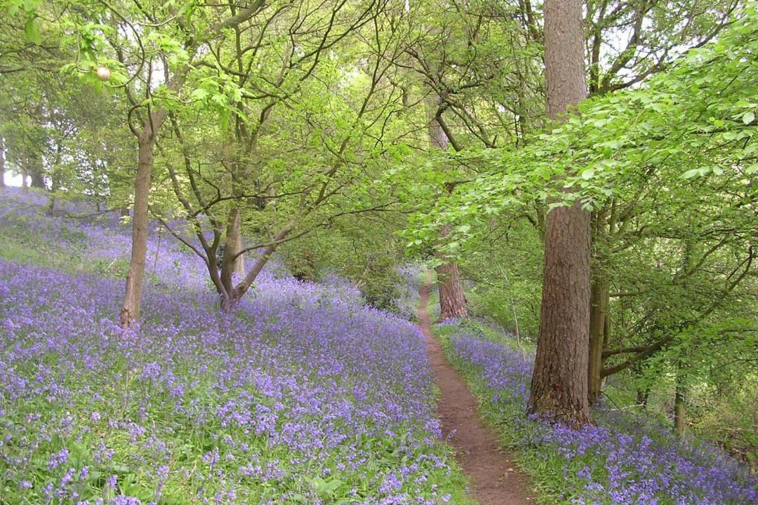 Photo of Others in Dre-fach Felindre