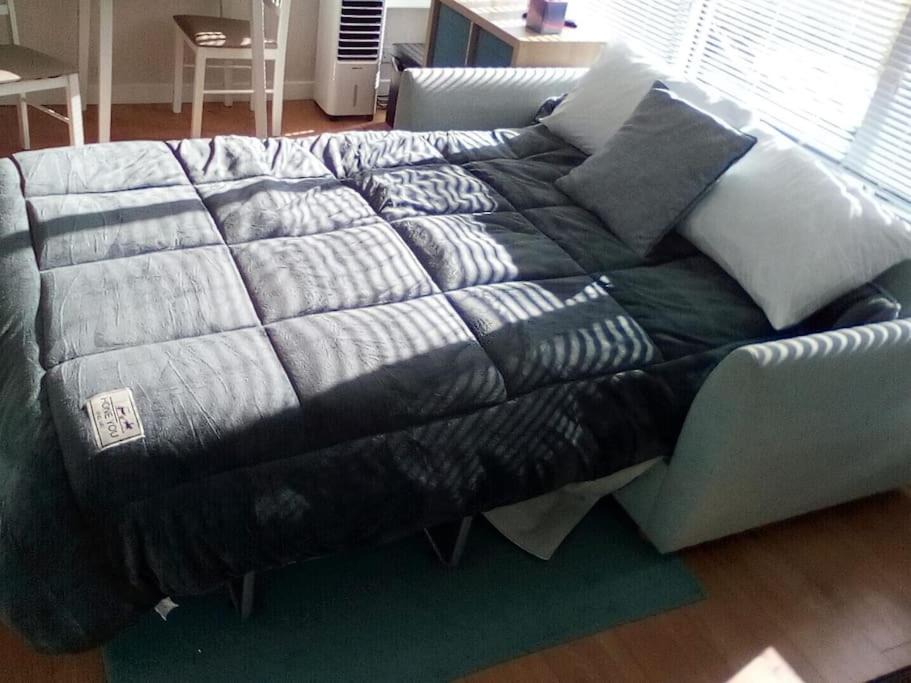 Photo of Others in Chichester