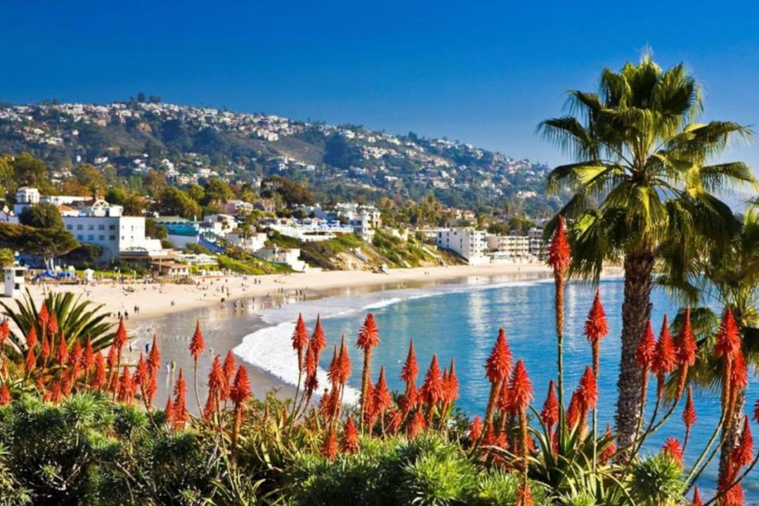 Photo of Others in Laguna Beach