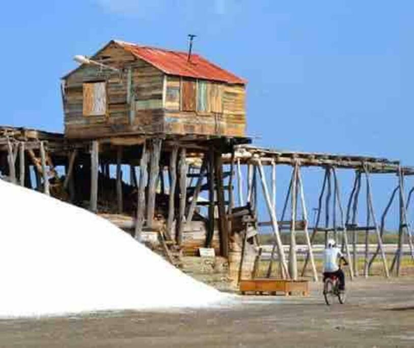 Photo of Others in Las Salinas