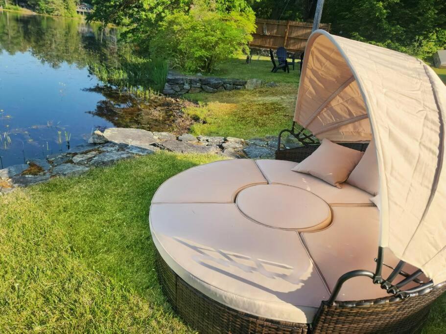 Photo of Others in Orange