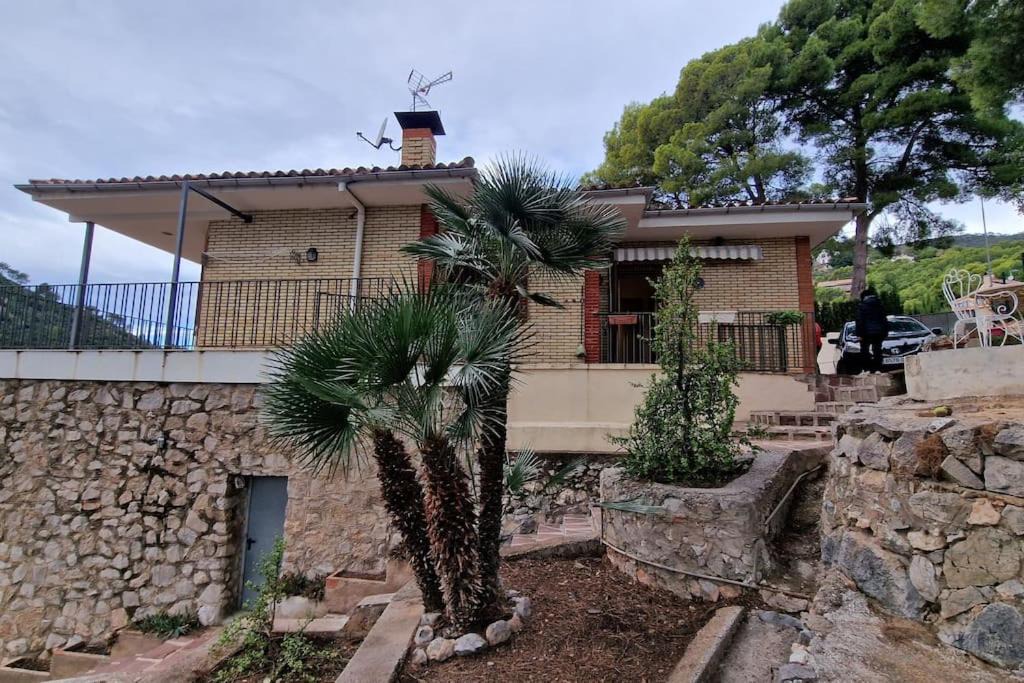 Photo of Buildings in Benicassim
