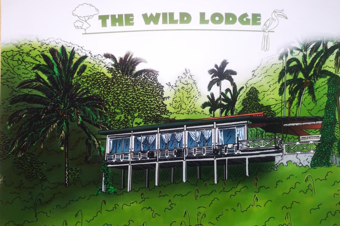 Photo of Others in Kuala Tahan