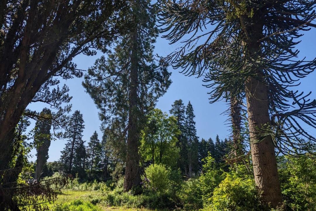 Photo of Others in Ardentinny