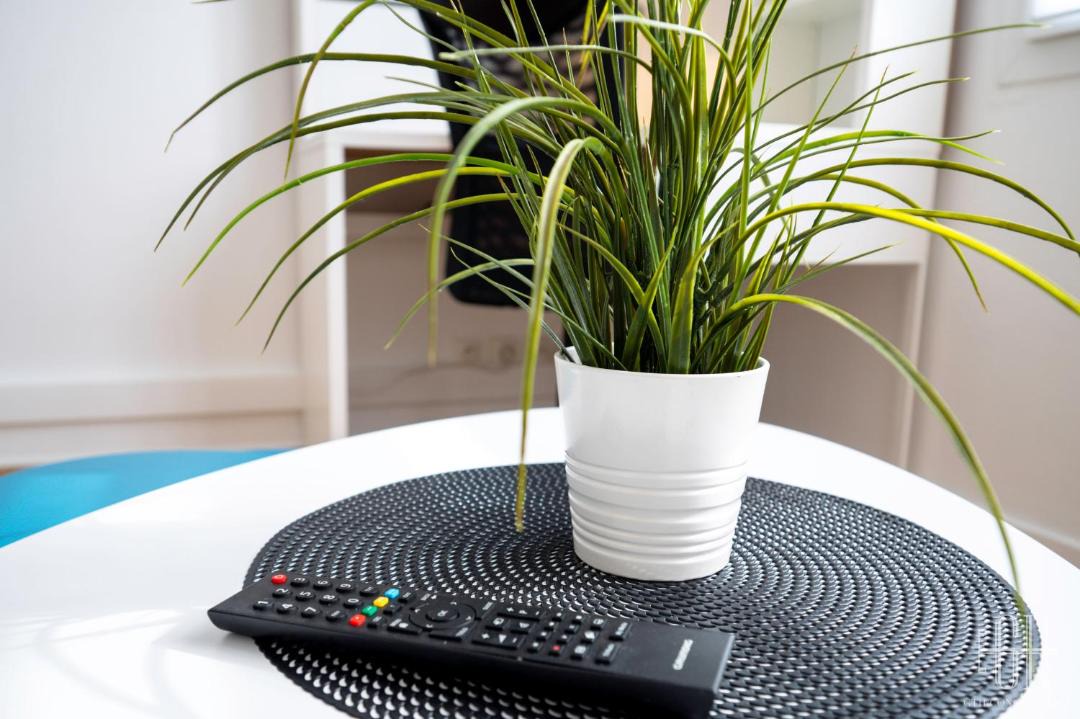 Photo of Others in Saint-Pierre-des-Corps