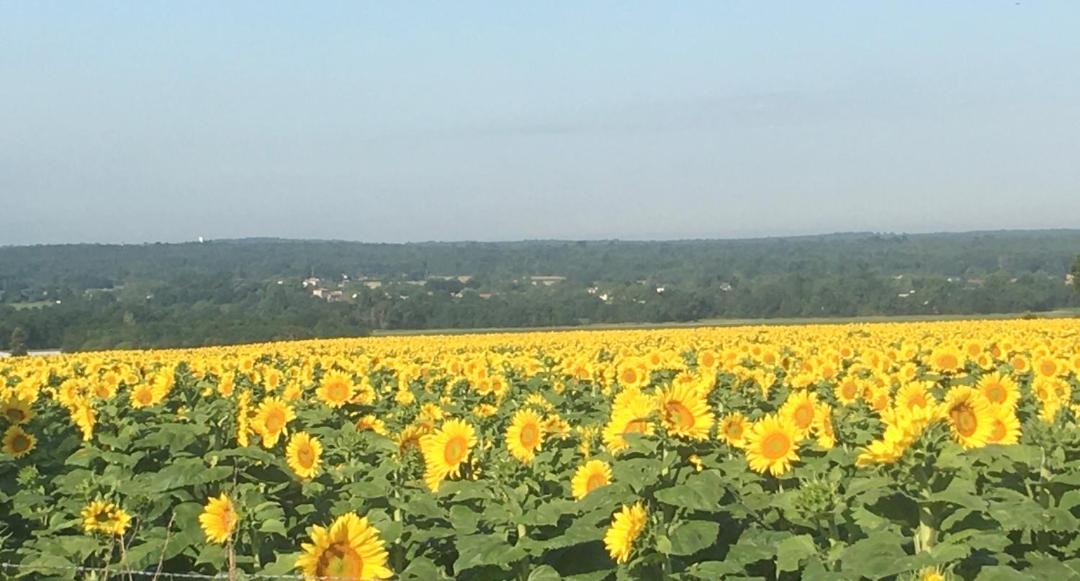 Photo of Others in Rivieres