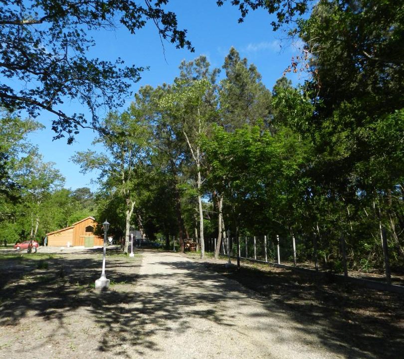 Photo of Others in Anzex