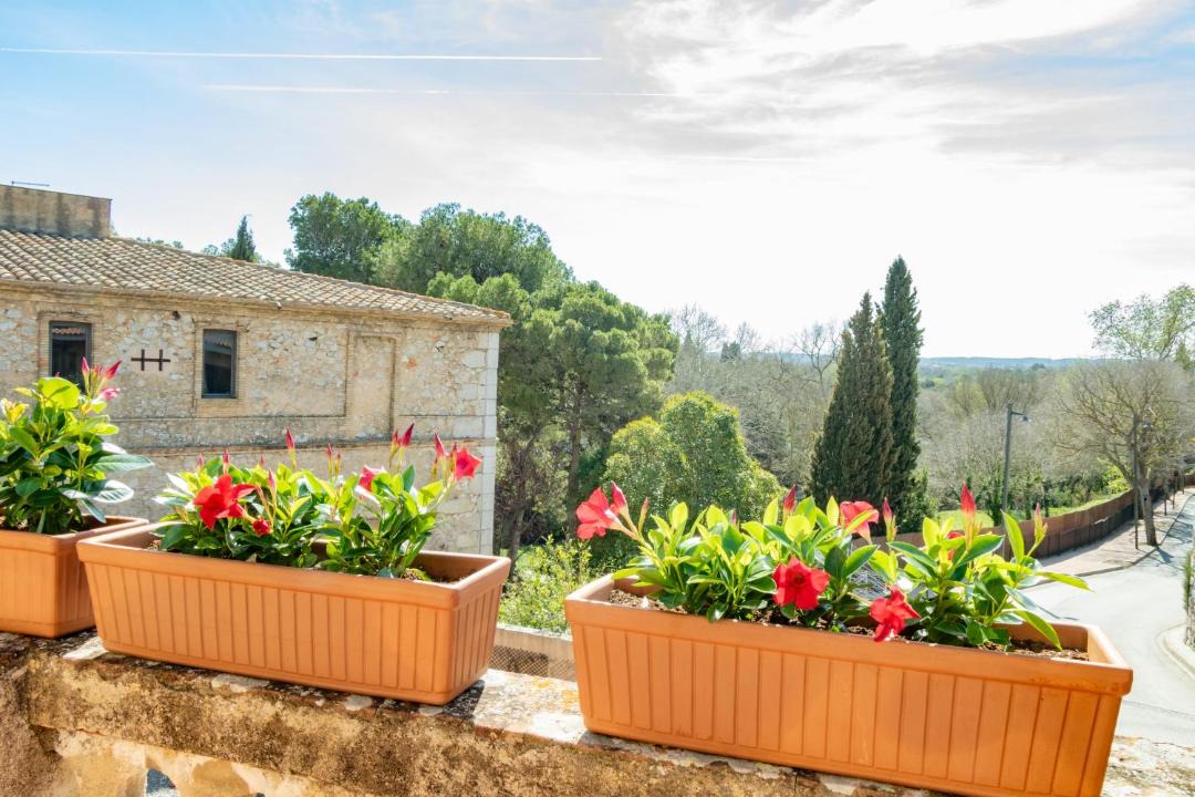 Photo of Patio Balcony in Avinyonet de Puigventos
