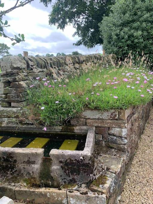 Photo of Others in Hollinsclough