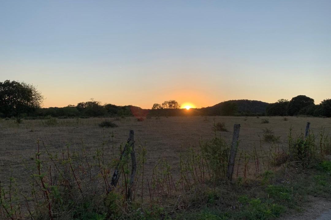 Photo of Others in Serecourt