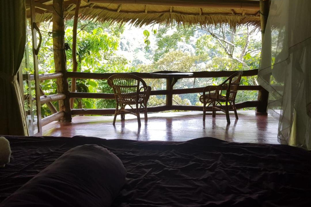 Photo of Others in Bukit Lawang