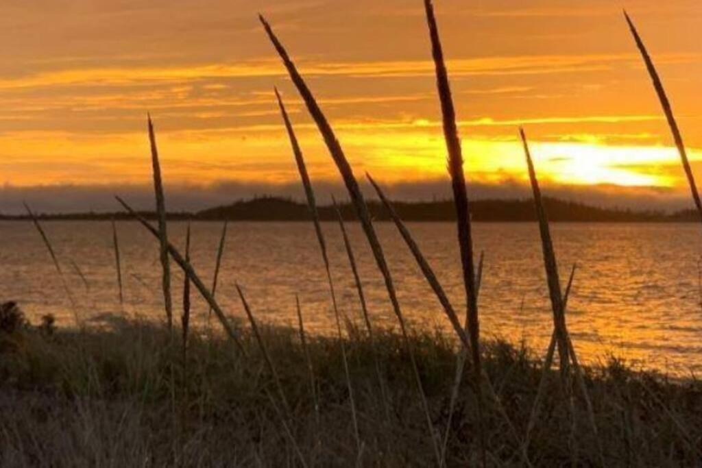 Photo of Others in Port Shoreham