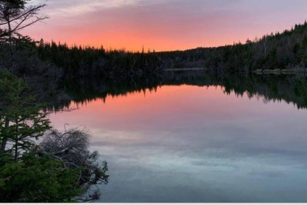 Photo of Others in Port Shoreham