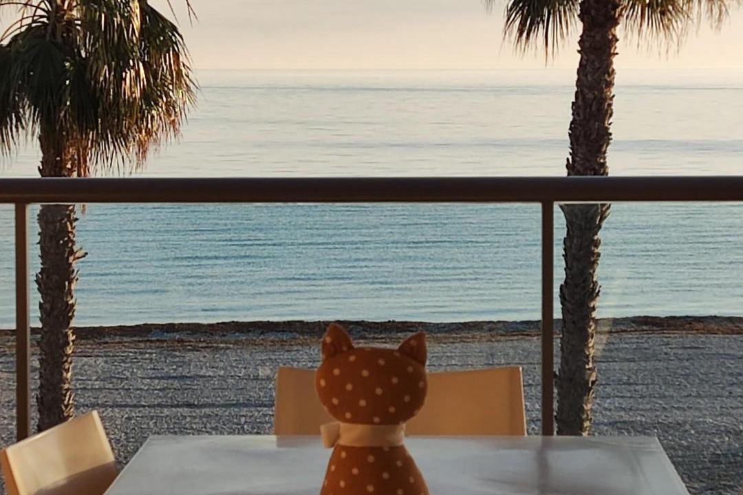 Photo of Others in Almadrava Beach