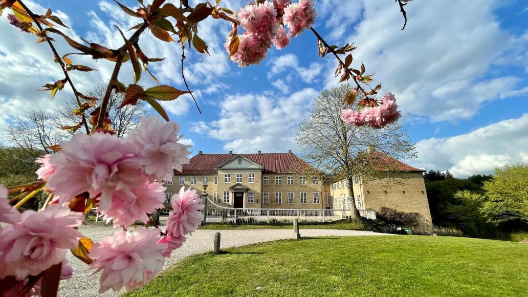 Photo of Others in Ebberup